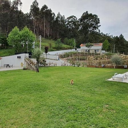 Quinta Da Tormenta -14 Pessoas- Cabeceiras De Basto 2 Casas E Piscina Privada Vila Exterior foto